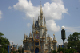 MagicKingdom